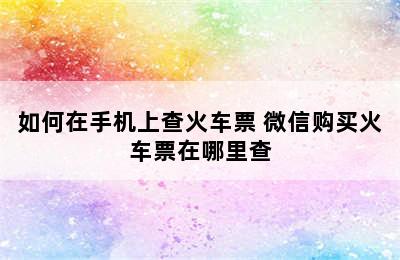 如何在手机上查火车票 微信购买火车票在哪里查